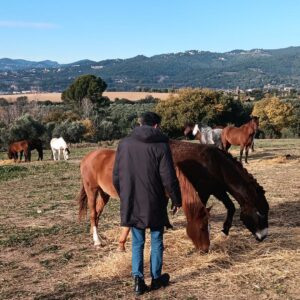 Servei terapèutic de vacances